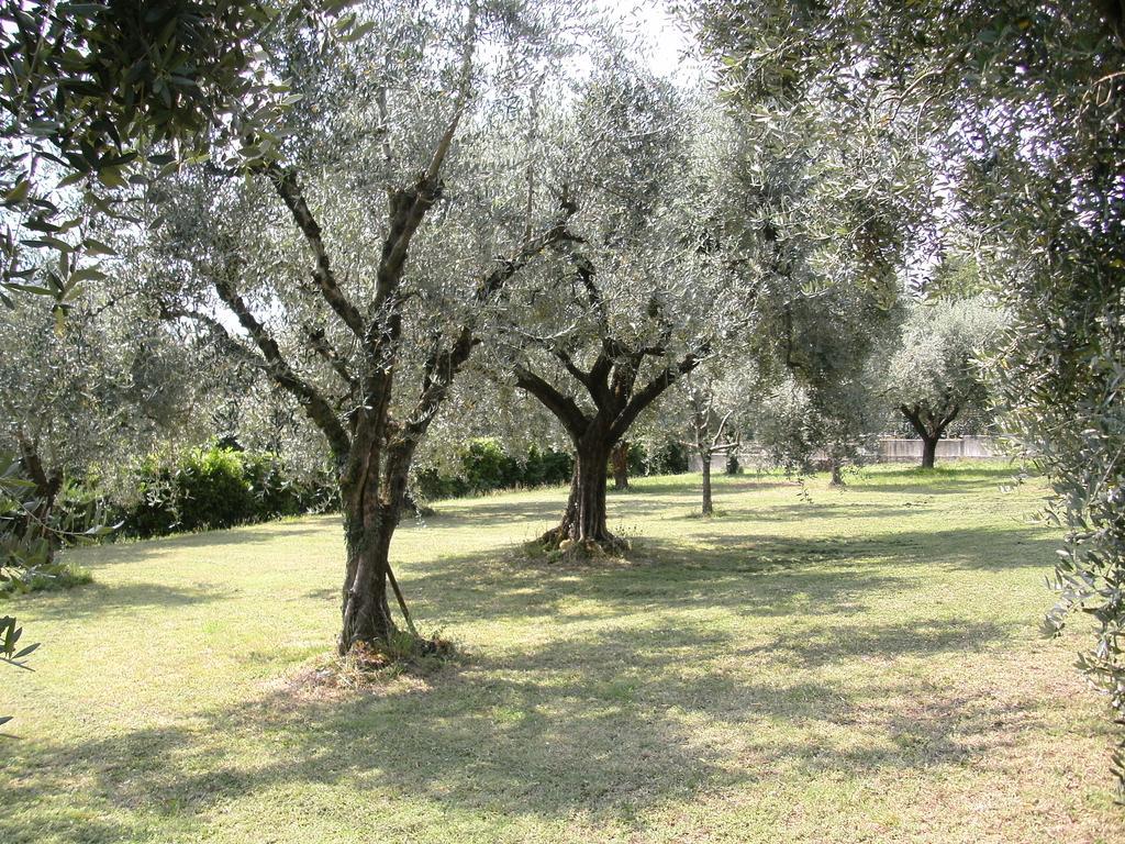 B&B Agli Ulivi Manerba del Garda Exterior foto