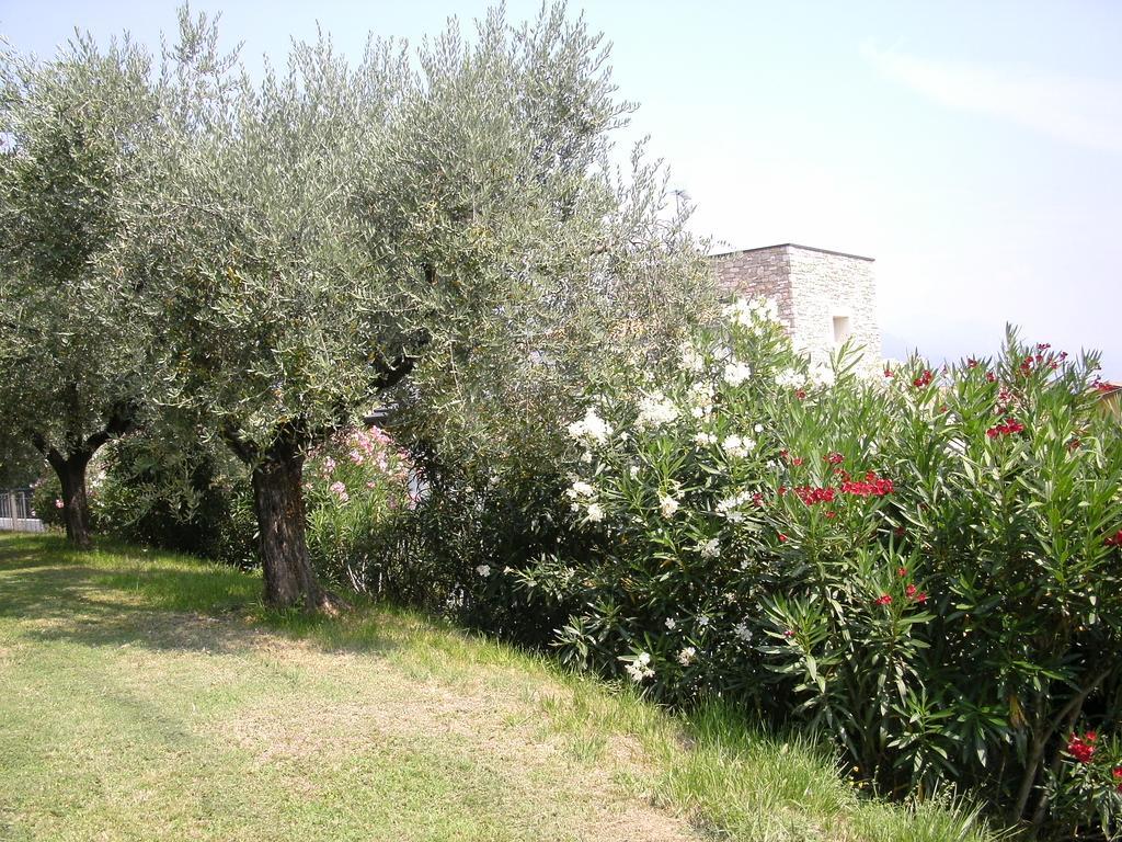B&B Agli Ulivi Manerba del Garda Exterior foto